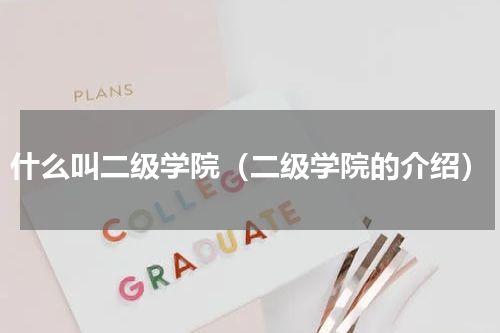 什么叫二级学院（二级学院的介绍）