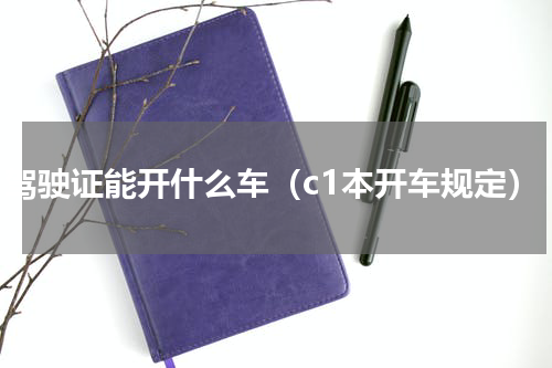 C1驾驶证能开什么车（c1本开车规定）