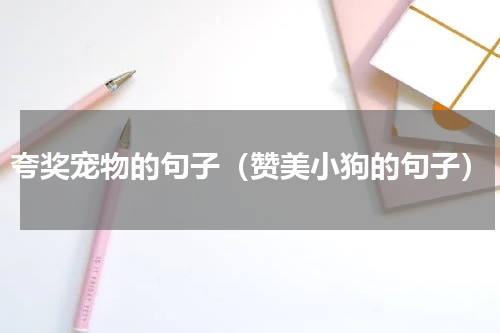 夸奖宠物的句子（赞美小狗的句子）