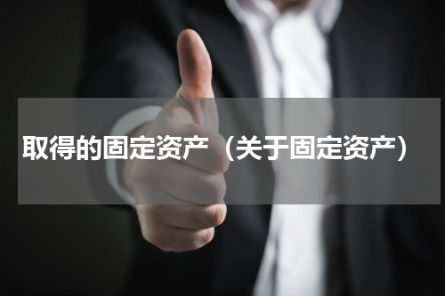 取得的固定资产（关于固定资产）