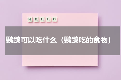鹦鹉可以吃什么（鹦鹉吃的食物）