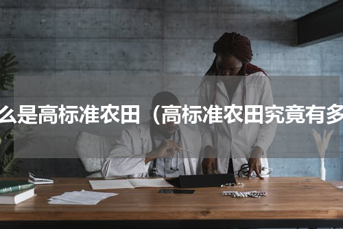 什么是高标准农田（高标准农田究竟有多）