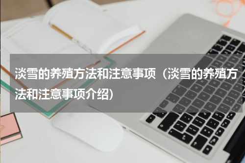 淡雪的养殖方法和注意事项（淡雪的养殖方法和注意事项介绍）