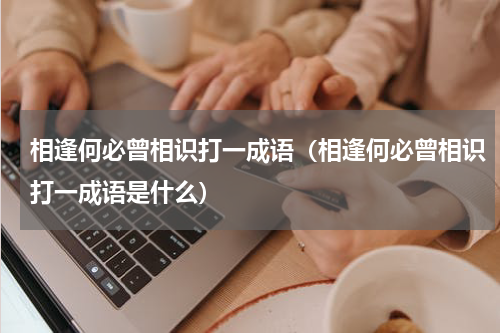 相逢何必曾相识打一成语（相逢何必曾相识打一成语是什么）