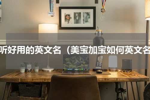 好听好用的英文名（美宝加宝如何英文名）