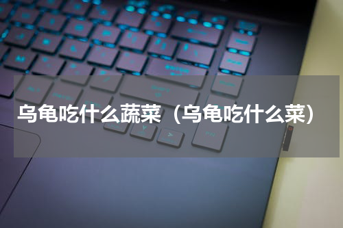 乌龟吃什么蔬菜（乌龟吃什么菜）