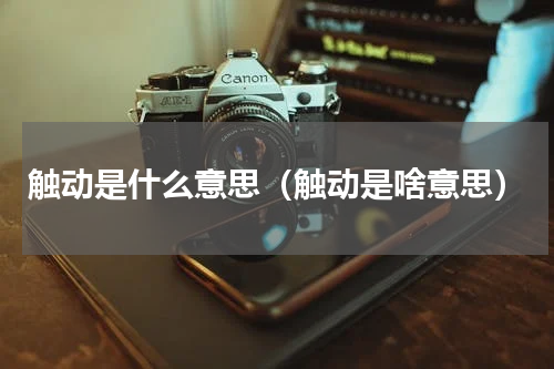 触动是什么意思（触动是啥意思）
