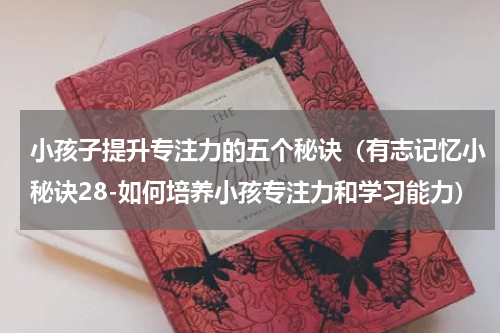 小孩子提升专注力的五个秘诀（有志记忆小秘诀28-如何培养小孩专注力和学习能力）