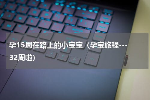 孕15周在路上的小宝宝（孕宝旅程---32周啦）