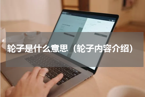 轮子是什么意思（轮子内容介绍）