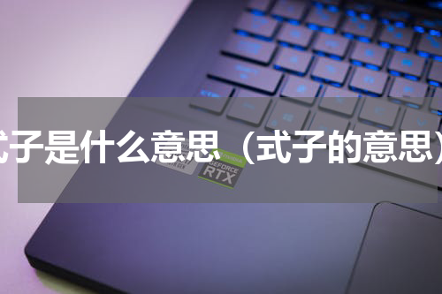 式子是什么意思（式子的意思）