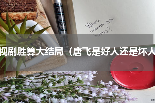 电视剧胜算大结局（唐飞是好人还是坏人）