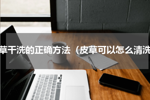 皮草干洗的正确方法（皮草可以怎么清洗）