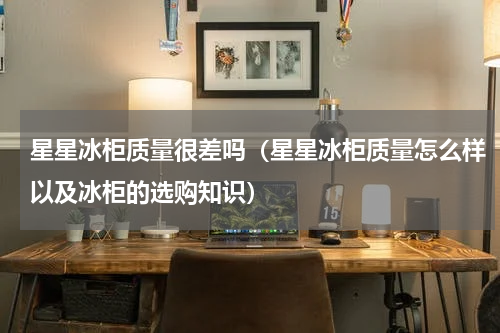 星星冰柜质量很差吗（星星冰柜质量怎么样以及冰柜的选购知识）