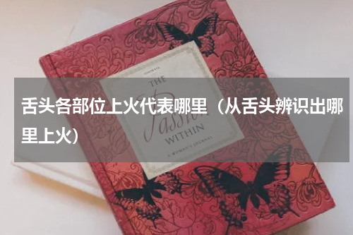 舌头各部位上火代表哪里（从舌头辨识出哪里上火）
