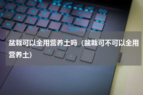盆栽可以全用营养土吗（盆栽可不可以全用营养土）