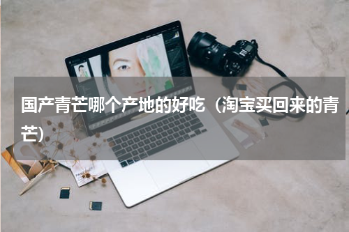 国产青芒哪个产地的好吃（淘宝买回来的青芒）