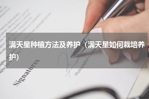 满天星种植方法及养护（满天星如何栽培养护）