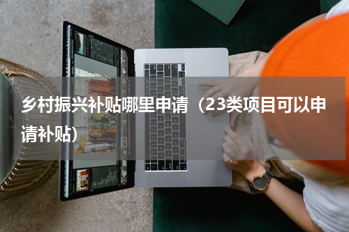 乡村振兴补贴哪里申请（23类项目可以申请补贴）