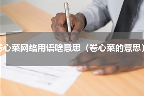 卷心菜网络用语啥意思（卷心菜的意思）