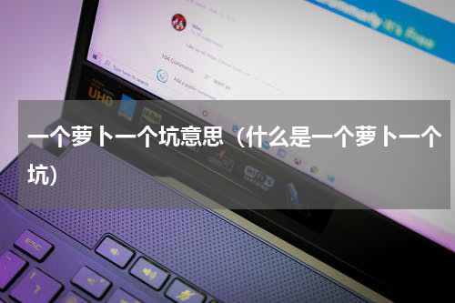 一个萝卜一个坑意思（什么是一个萝卜一个坑）