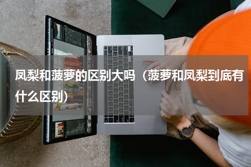 凤梨和菠萝的区别大吗（菠萝和凤梨到底有什么区别）