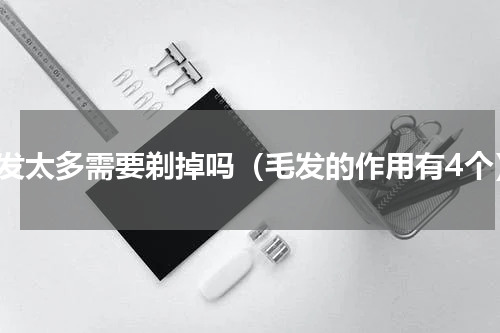 毛发太多需要剃掉吗（毛发的作用有4个）
