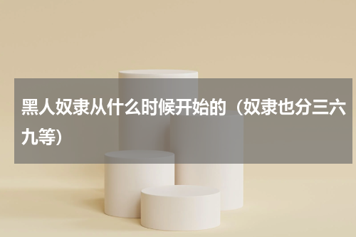黑人奴隶从什么时候开始的（奴隶也分三六九等）