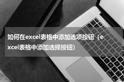如何在excel表格中添加选项按钮（excel表格中添加选择按钮）