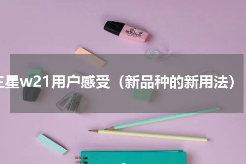 三星w21用户感受（新品种的新用法）