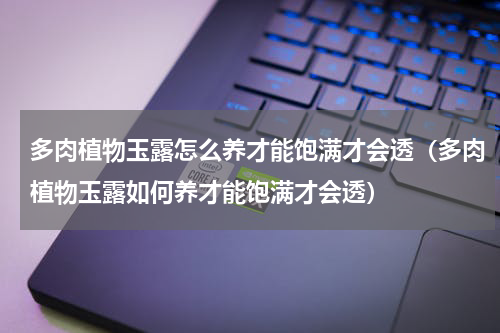 多肉植物玉露怎么养才能饱满才会透（多肉植物玉露如何养才能饱满才会透）