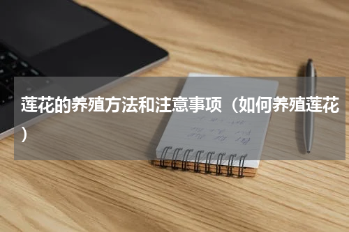 莲花的养殖方法和注意事项（如何养殖莲花）