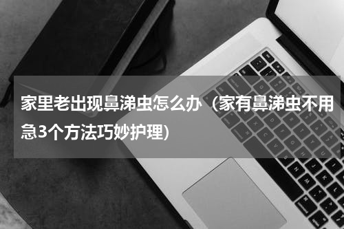 家里老出现鼻涕虫怎么办（家有鼻涕虫不用急3个方法巧妙护理）