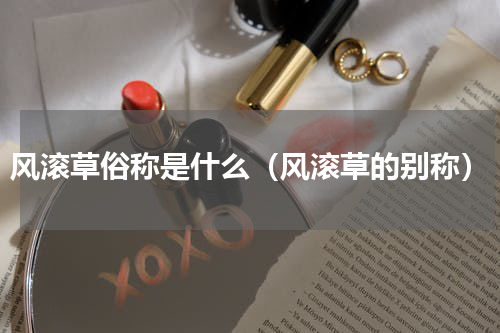 风滚草俗称是什么（风滚草的别称）