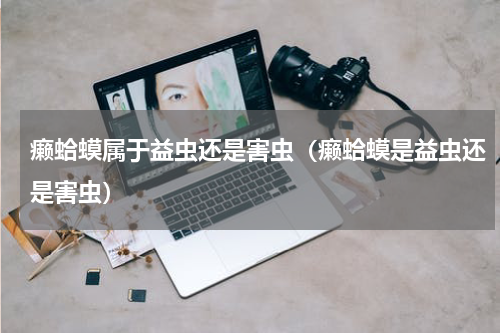 癞蛤蟆属于益虫还是害虫（癞蛤蟆是益虫还是害虫）