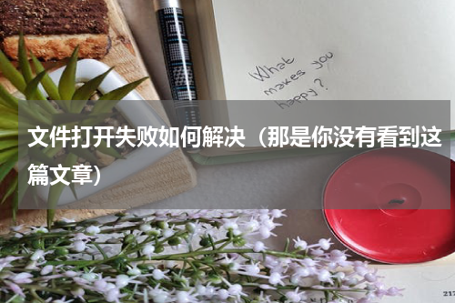 文件打开失败如何解决（那是你没有看到这篇文章）