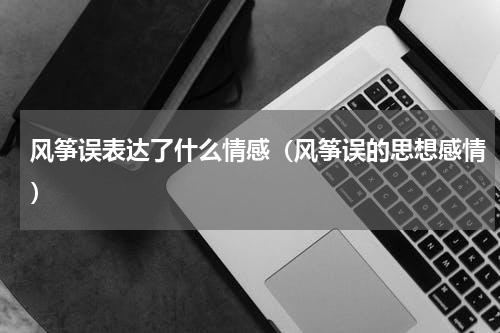 风筝误表达了什么情感（风筝误的思想感情）