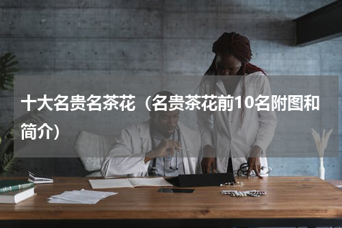 十大名贵名茶花（名贵茶花前10名附图和简介）