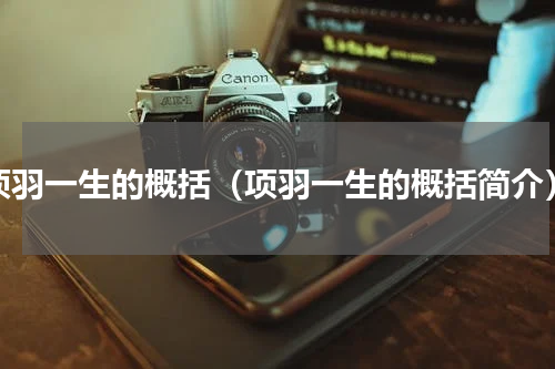 项羽一生的概括（项羽一生的概括简介）