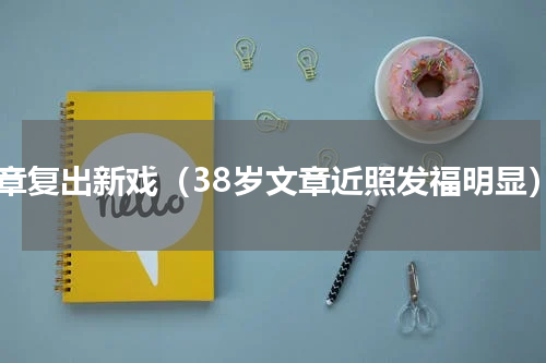 文章复出新戏（38岁文章近照发福明显）