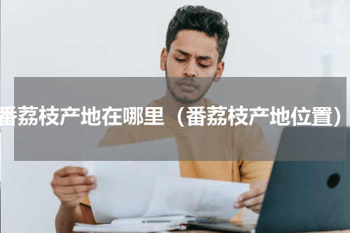 番荔枝产地在哪里（番荔枝产地位置）