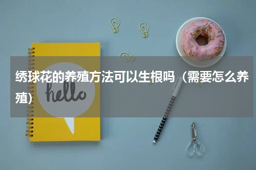 绣球花的养殖方法可以生根吗（需要怎么养殖）