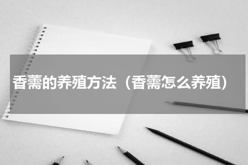 香薷的养殖方法（香薷怎么养殖）