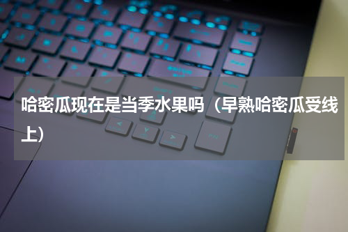 哈密瓜现在是当季水果吗（早熟哈密瓜受线上）