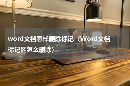 word文档怎样删除标记（Word文档标记区怎么删除）