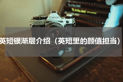英短银渐层介绍（英短里的颜值担当）