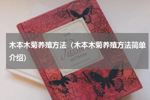 木本木菊养殖方法（木本木菊养殖方法简单介绍）