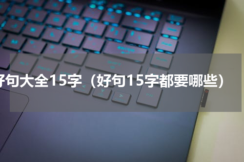 好句大全15字（好句15字都要哪些）