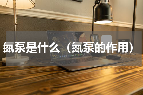 氮泵是什么（氮泵的作用）