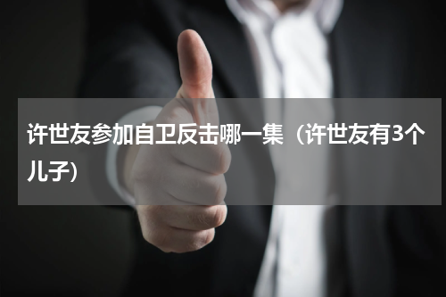 许世友参加自卫反击哪一集（许世友有3个儿子）